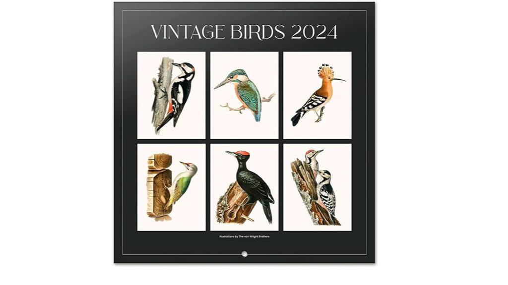 2024 vintage birds wall