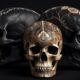 comparing aboriginal and human skulls