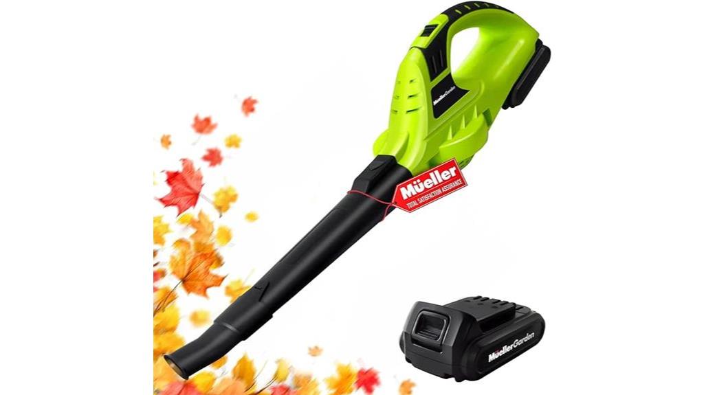 cordless leaf blower with battery and charger