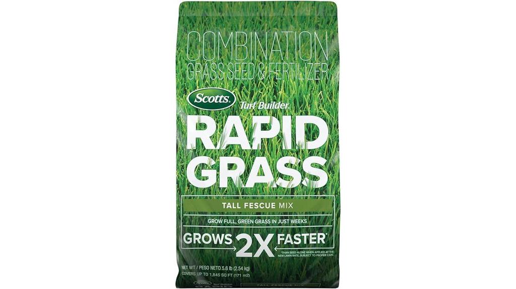 fast growing tall fescue grass