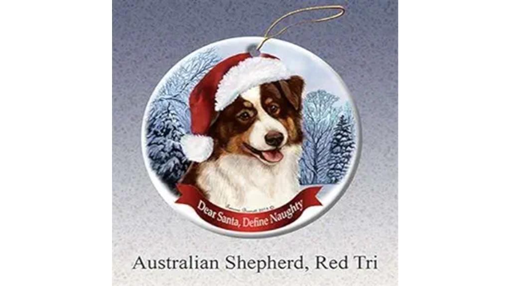 festive australian shepherd dog