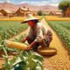 food production among hopi