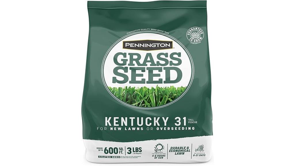 kentucky 31 fescue grass