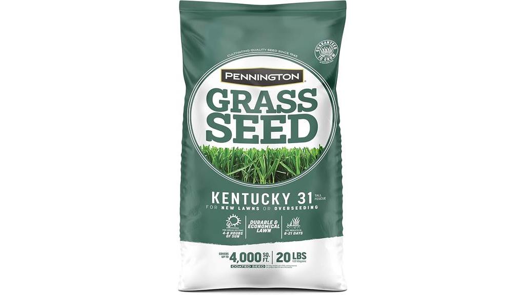 kentucky 31 fescue grass