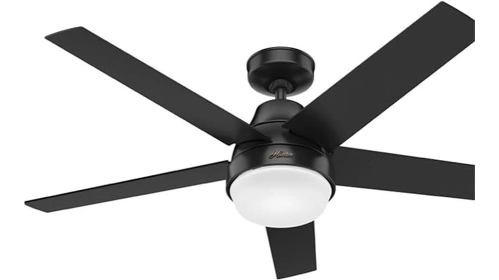 matte black ceiling fan