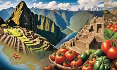 origin of tomato cultivation