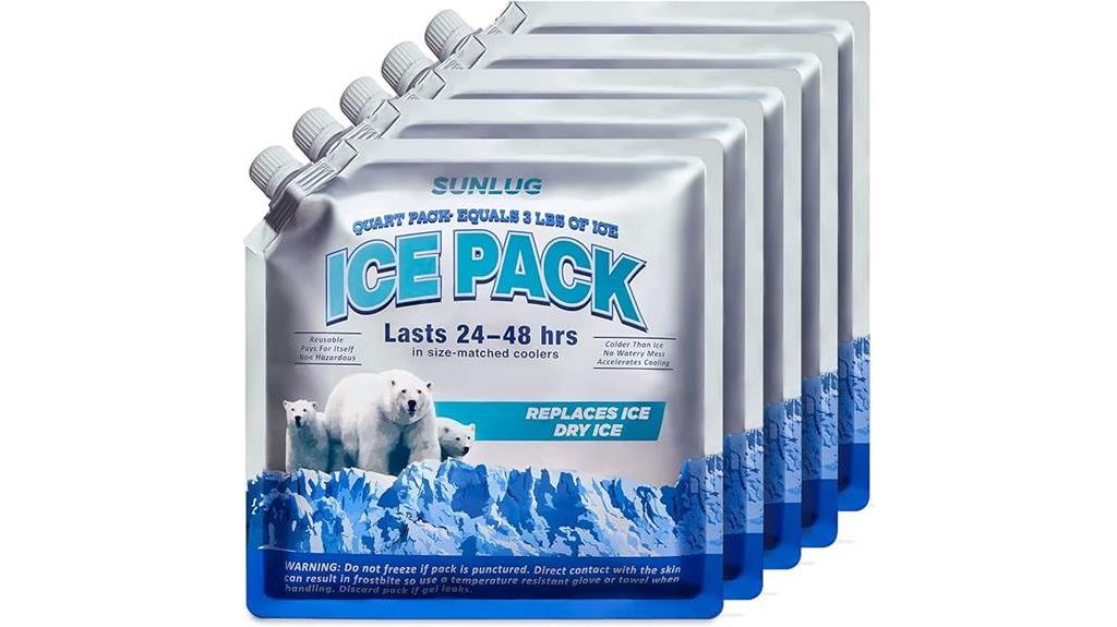 reusable ice packs for coolers