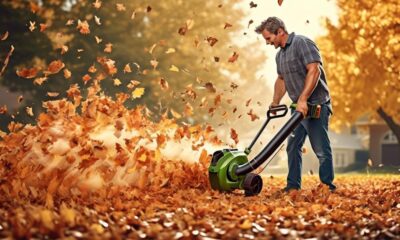 top rated battery powered leaf blowers