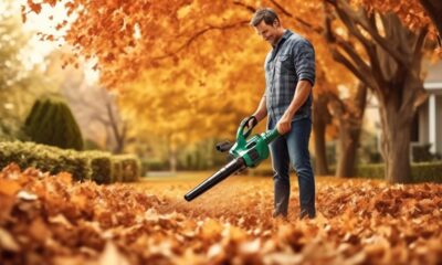 top rated cordless leaf blowers