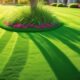 top rated lawn fertilizers recommended