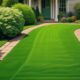 top rated lawn weed killers