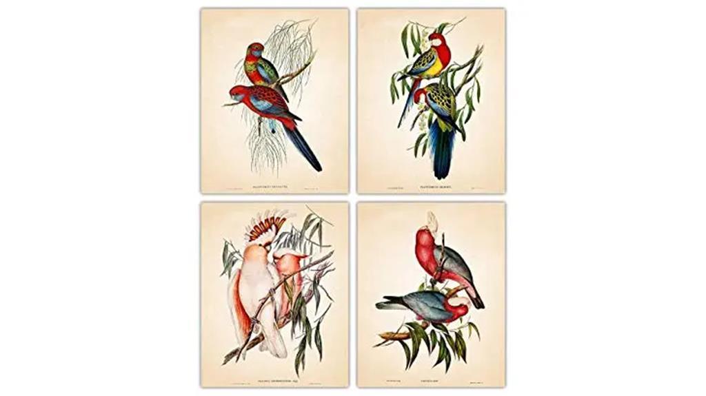 vintage australian bird prints