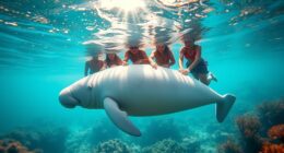 indigenous dugong conservation efforts