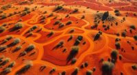 language shapes landscape