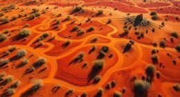 language shapes landscape