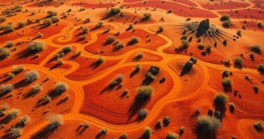 language shapes landscape