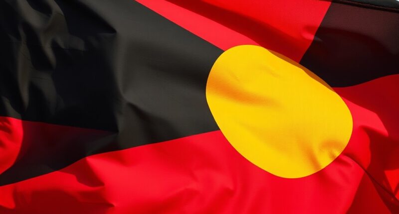 aboriginal flag symbols significance