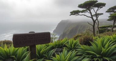 treaty comparison in new zealand