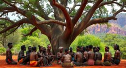 yolngu culture and land