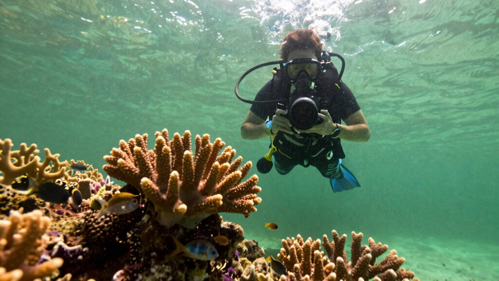 enhance murky water clarity