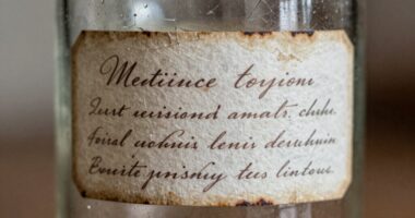 essential future metadata labels