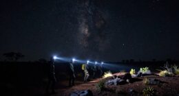 night safety and respect