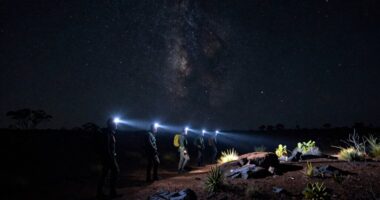 night safety and respect