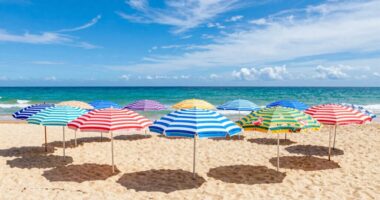 top beach umbrellas 2026