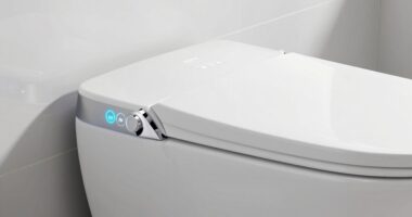 top bidet options 2026