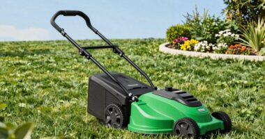 top cordless lawn mowers