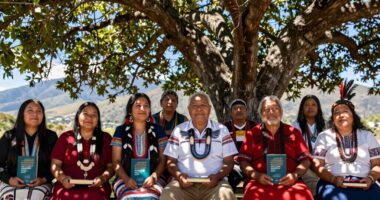top indigenous authors list