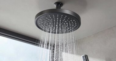 top rain shower head picks