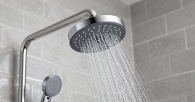 top shower heads 2026