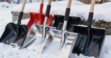 top snow shovels 2026