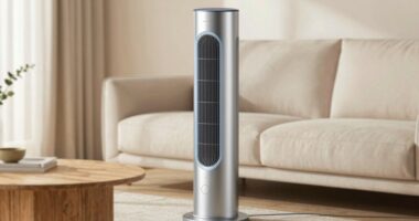 top tower fans for 2026