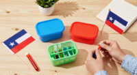 12 Best Patriotic Science Experiment Kits in 2026