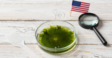 E Pluribus Algae: Why Green Pond Scum Is as American as Red, White and Blue