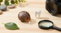 Snails' Teeth Beats Spider Silk As Nature's Strongest Material (2015)