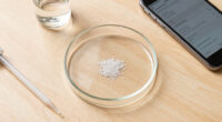 What Do We Know About The Microplastics Inside Us?