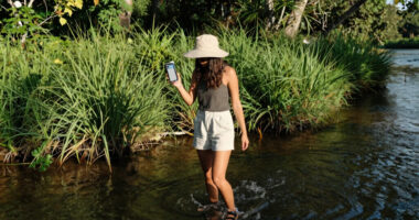 Woman Wading in Florida River Dies After Being Bitten by Alligator
