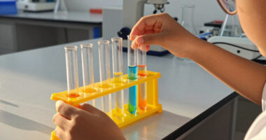 11 Best Science Lab Equipment For Students In 2026