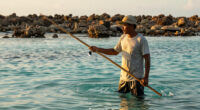 Bomb Fishing Is Wreaking Havoc On Indonesia's Coral Reefs