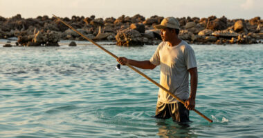 Bomb Fishing Is Wreaking Havoc On Indonesia's Coral Reefs