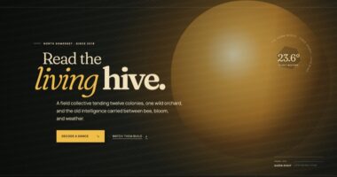 The Comb Works — Bees, decoded (FABLE/175)