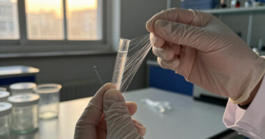 Is Spider Silk Really Stronger Than Steel?
