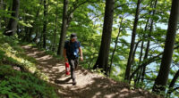 Waldbrand Gardasee
