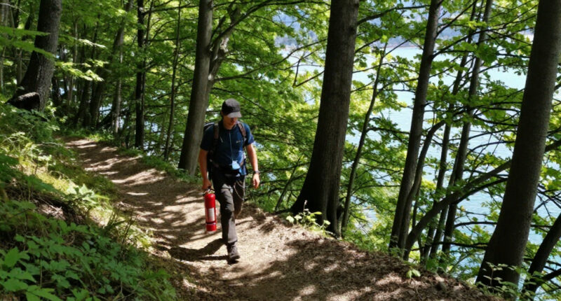 Waldbrand Gardasee
