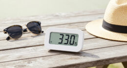 Weather Forecast Heatwave